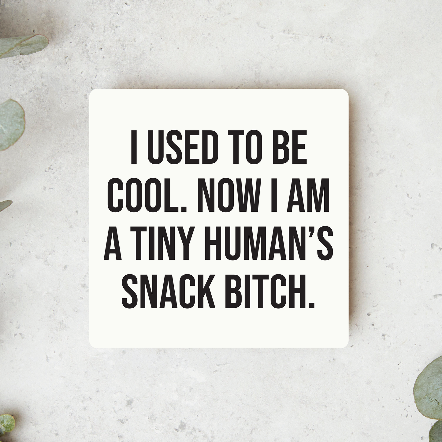 Snack Bitch Magnet