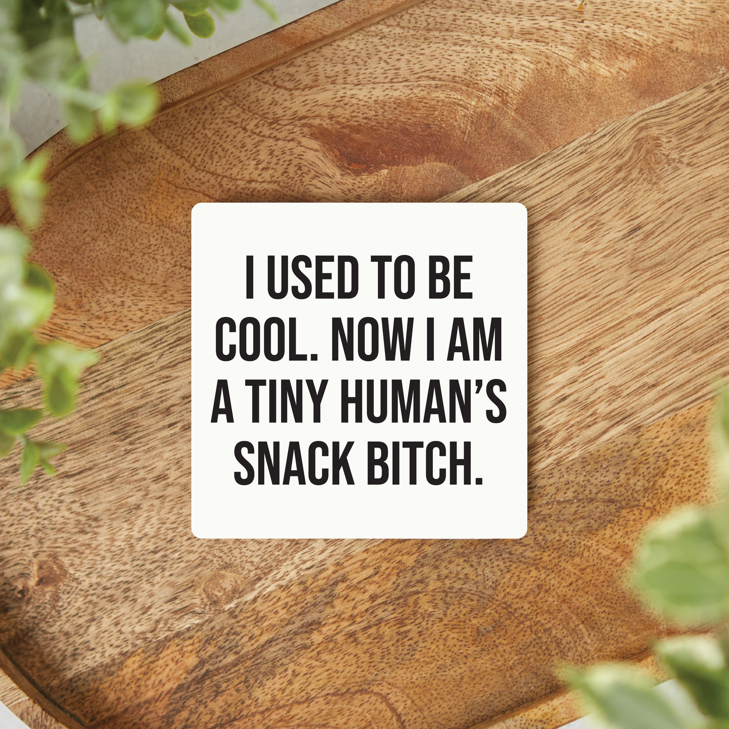 Snack Bitch Magnet