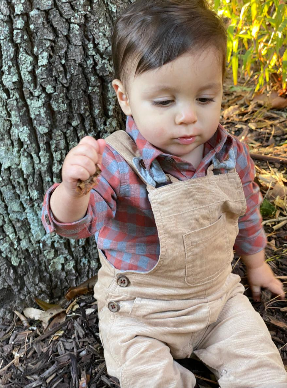 Jellico Cord Overalls