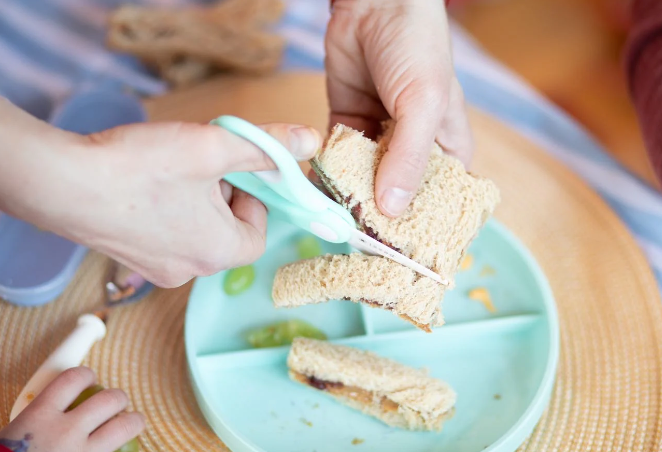 Ceramic Food-Scissor with Case