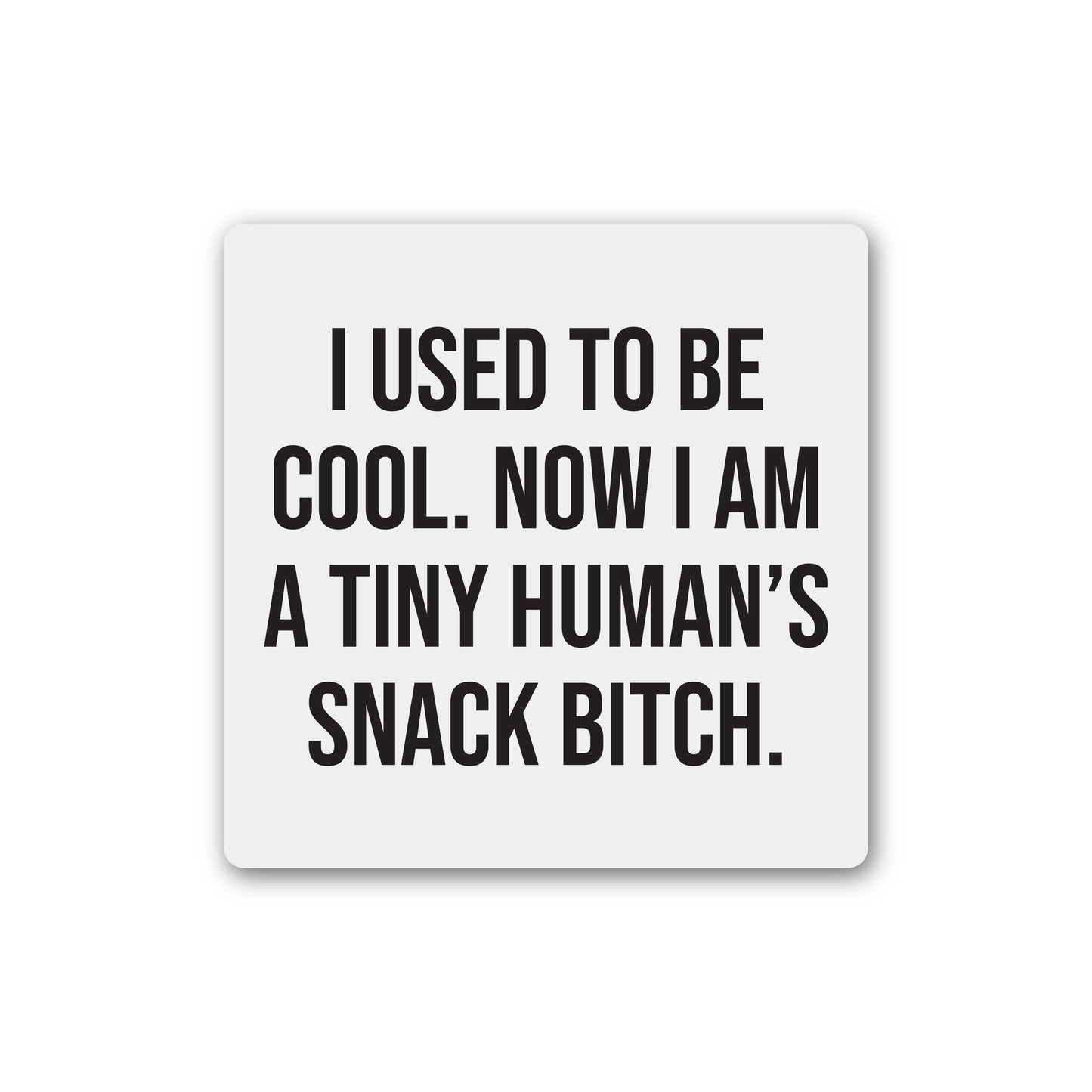 Snack Bitch Magnet