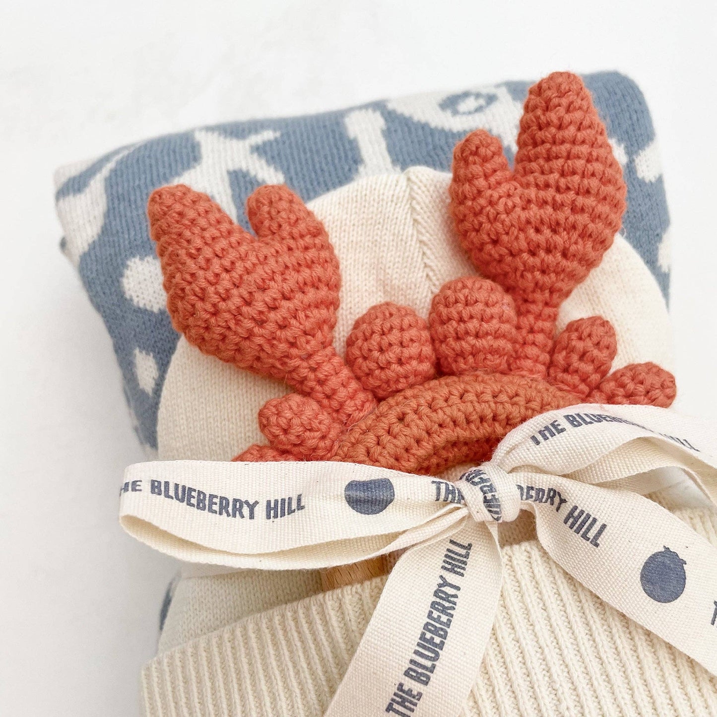 The Blueberry Hill - Blanket Nautical Summer Ocean Organic Cotton