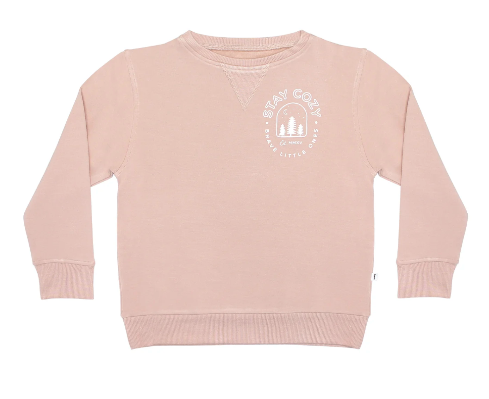 Stay Cozy Pink French Terry Pullover
