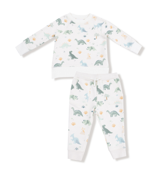 Soft Dinos - French Terry- Green - Raglan Sweatshirt + Jogger Set