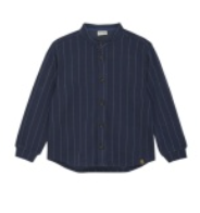 Blue Striped Button down
