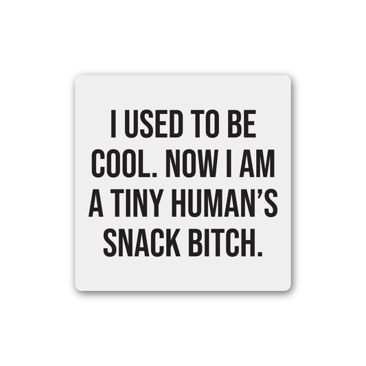 Snack Bitch Magnet