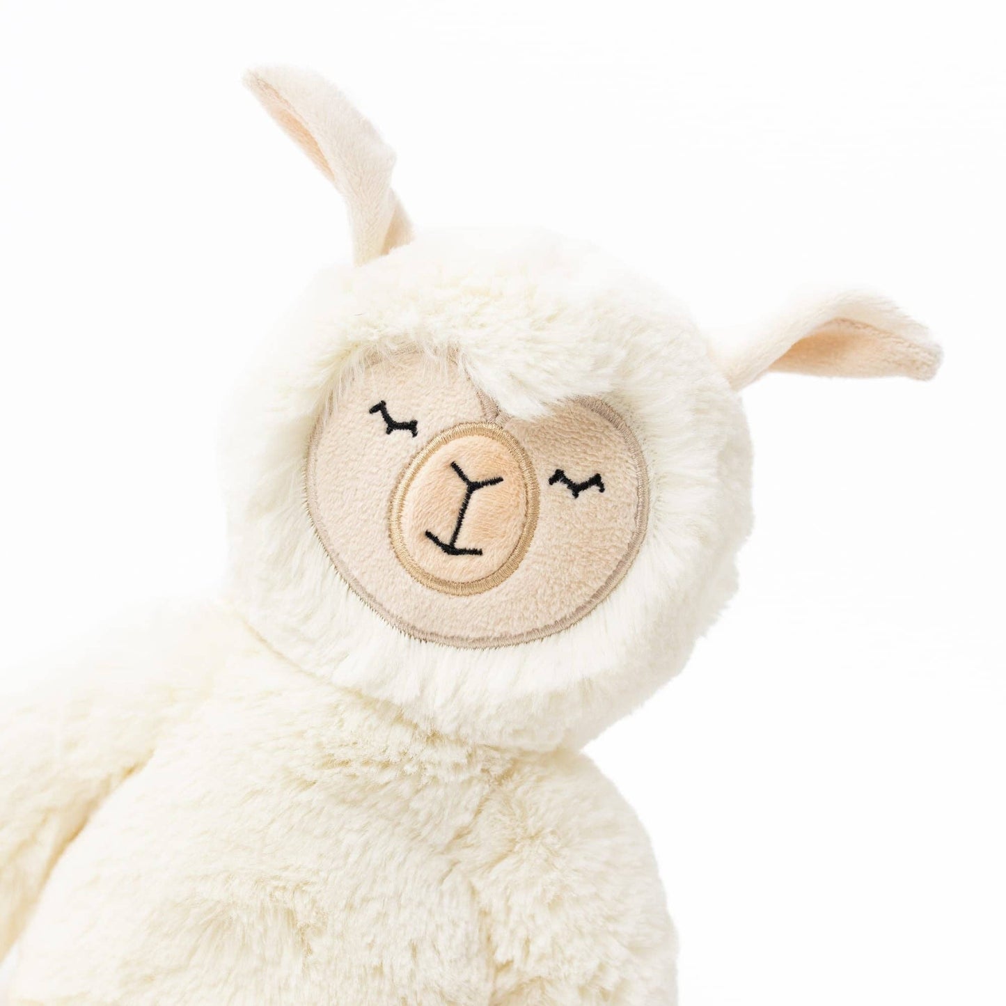 Lighten the Load With Alpaca | Ivory Kin with Books